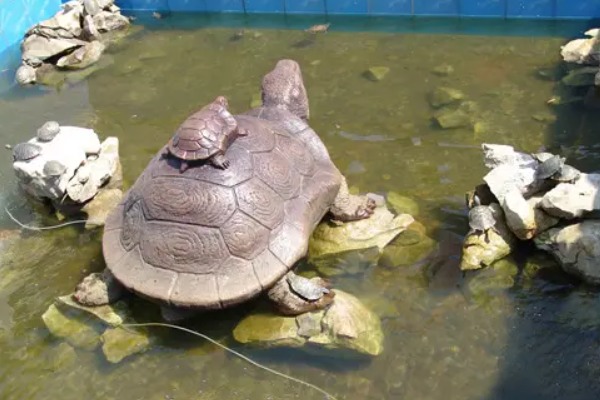 陶祖圣境千龟池