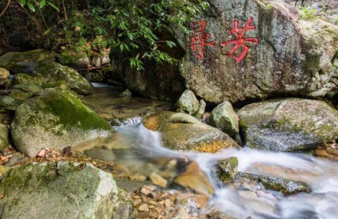 神龙川寻芳石碑