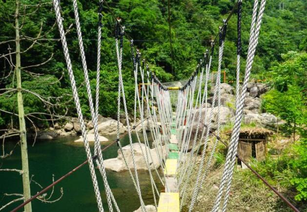 大龙湾景区吊桥
