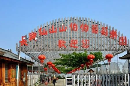 山伯伯四季仙果园