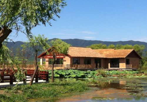 图影生态湿地的房屋